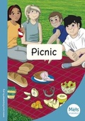 Cover: Mets Maesllan: Picnic - Canolfan Peniarth