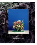 Cover: Bloom - Noctule