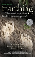 Cover: Earthing (2nd Edition) - Turner Publishing Company