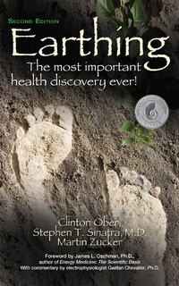 Enlarge image Cover: Earthing (2nd Edition) - Turner Publishing Company