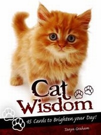 Enlarge image Cover: Cat Wisdom Cards - Blue Angel Gallery
