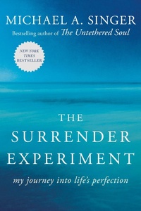 Enlarge image Cover: The Surrender Experiment - Harmony Books