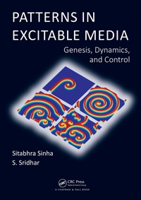 Enlarge image Cover: Patterns in Excitable Media - CRC Press