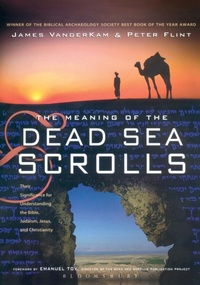 Enlarge image Cover: The Meaning of the Dead Sea Scrolls - T.& T.Clark Ltd