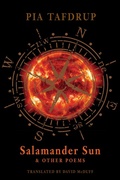 Cover: Salamander Sun and Other Poems - Bloodaxe Books Ltd