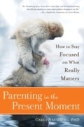 Cover: Peace, Bugs, and Understanding - Plum Blossom