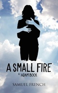 Cover: A Small Fire - Samuel French, Inc
