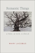 Cover: Romantic Things - University of Chicago Press
