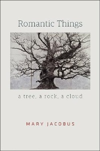 Enlarge image Cover: Romantic Things - University of Chicago Press