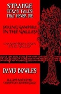 Cover: Young Vampire in the Valley - Overlooked Books
