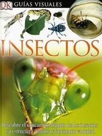 Enlarge image Cover: Insectos - Dorling Kindersley