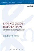 Cover: Saving God's Reputation - T.& T.Clark Ltd