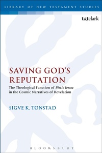 Enlarge image Cover: Saving God's Reputation - T.& T.Clark Ltd