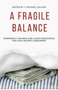 Enlarge image Cover: A Fragile Balance - Palgrave MacMillan