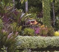 Cover: Secret Gardens - Abrams