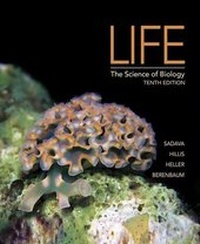 Enlarge image Cover: Life - W.H.Freeman & Co Ltd
