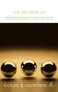 Cover: The Promise of Trinitarian Theology - T.& T.Clark Ltd