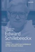 Cover: The Collected Works of Edward Schillebeeckx Volume 7 - T.& T.Clark Ltd