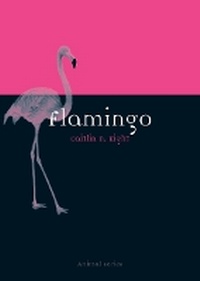 Enlarge image Cover: Flamingo - Reaktion Books