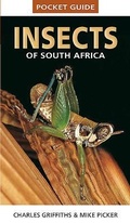 Cover: Pocket Guide to Insects of South Africa - Struik Nature