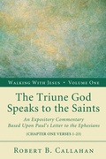 Cover: The Triune God Speaks to the Saints - Wipf and Stock Publishers