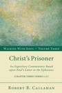 Cover: Christ's Prisoner - Wipf and Stock Publishers