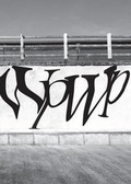 Cover: Wp Wp Wp - The Vanity Press