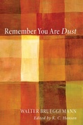 Cover: Remember You Are Dust - Wipf and Stock Publishers