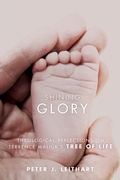 Cover: Shining Glory - Wipf and Stock Publishers