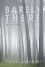 Cover: Barely There - Wipf and Stock Publishers