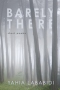 Cover: Barely There - Wipf and Stock Publishers