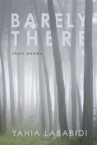 Enlarge image Cover: Barely There - Wipf and Stock Publishers
