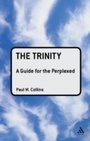 Cover: The Trinity: A Guide for the Perplexed - T.& T.Clark Ltd