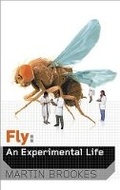 Cover: Fly - Weidenfeld & Nicolson