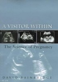 Abbildung von: A Visitor within - Weidenfeld & Nicolson