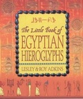 Cover: The Little Book of Egyptian Hieroglyphs - Hodder Paperback