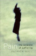 Cover: Pain - Phoenix (an Imprint of The Orion Publishing Group Ltd )