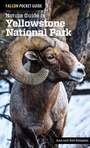 Cover: Nature Guide to Yellowstone National Park - Falcon Guides