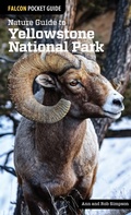 Cover: Nature Guide to Yellowstone National Park - Falcon Guides