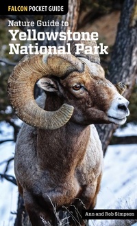 Enlarge image Cover: Nature Guide to Yellowstone National Park - Falcon Guides