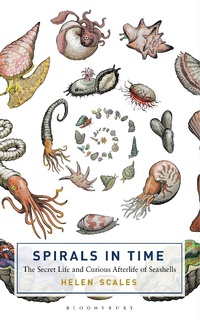 Abbildung von: Spirals in Time - Bloomsbury Sigma