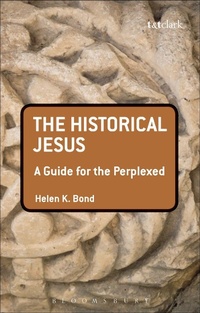 Enlarge image Cover: The Historical Jesus: A Guide for the Perplexed - T.& T.Clark Ltd