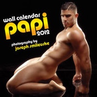 Abbildung von: 2012 Papi Wall Calendar - Village Lighthouse