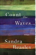Cover: Count the Waves - WW Norton & Co