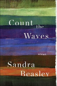 Enlarge image Cover: Count the Waves - WW Norton & Co