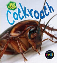 Enlarge image Cover: Cockroach - Raintree