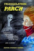 Cover: Triangulation - Parsec Ink