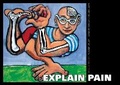 Cover: Explain Pain - Noigroup Publications