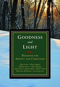 Enlarge image Cover: Goodness and Light - Orbis Books (USA)