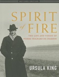 Cover: Spirit of Fire - Orbis Books (USA)
